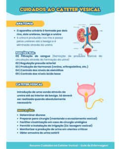 Resumo Cuidados ao Cateter Vesical
